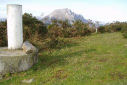 Urte amaierako Bazkaria/Comida Fin de año 2025.