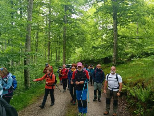 Travesía en Navarra: 40ª “Jose Luis Ortega” Memoriala (2/06/2024)