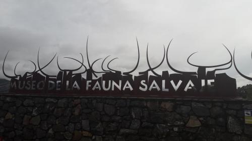 Museo Fauna Salvaje