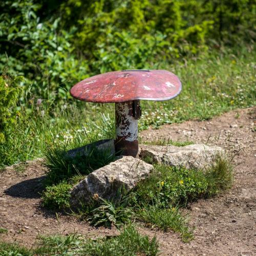 13ª Etapa del pastoreo: Puerto de Vitoria-Markinez