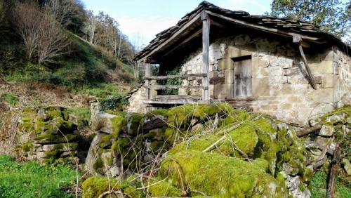 Ribera de los ríos Yera y Aja (25/11/2023)