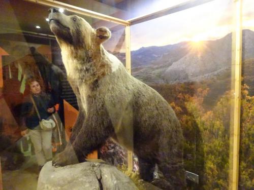 Montaña Palentina Senderismo (29/10/2023)