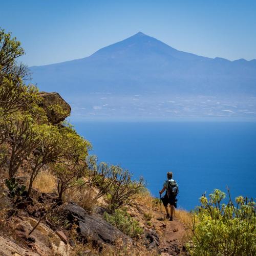 Fotografías del concurso 2023