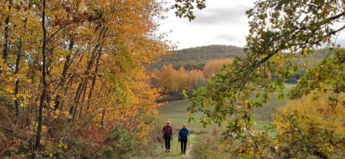 Senderismo: PR Mikaela Portilla (27/11/2022)