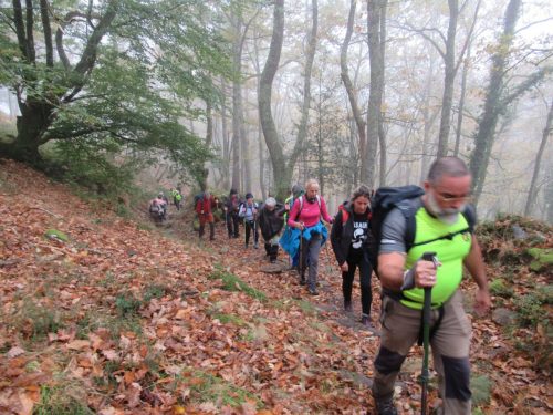 Santa Olalla-Mediajo Frío (1328 m) (1/11/2025)